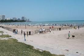 Montrose Beach